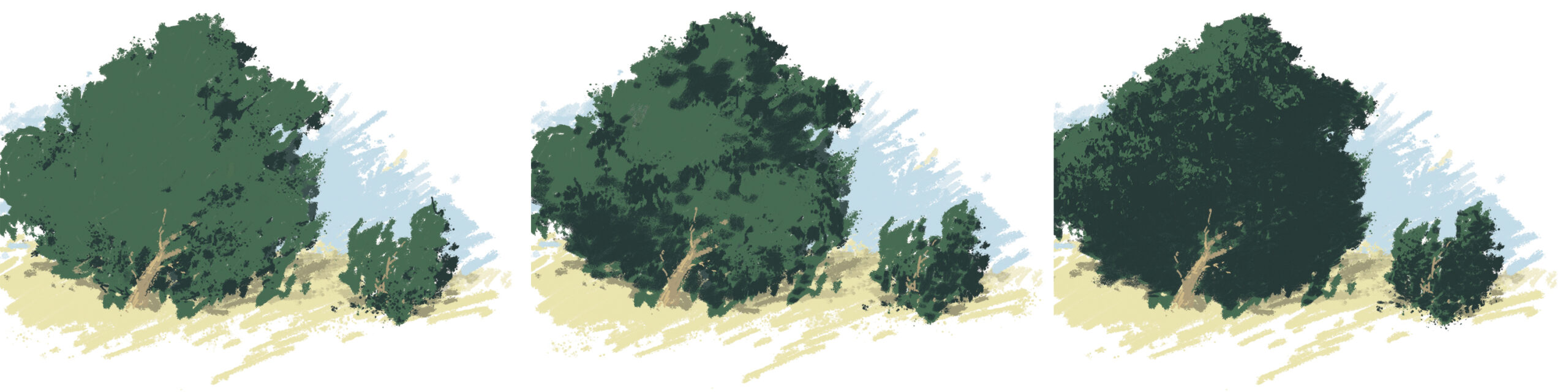 Light and Shadow Shapes - trees