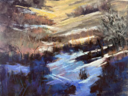 melting snow on a hill