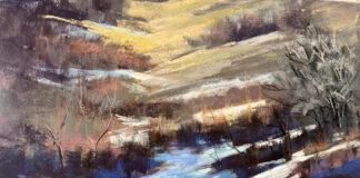 melting snow on a hill