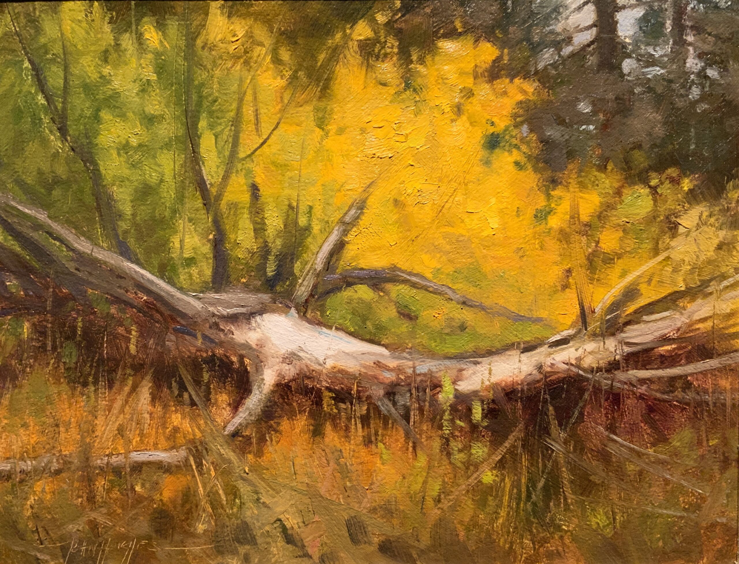 plein air oil painting of a tree that has fallen