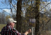 Finding Beauty in Unusual Places Artist and writer John Hughes - inspiration for artists