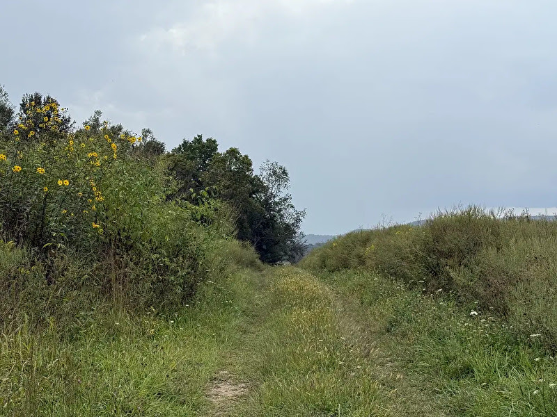 #1. Image courtesy of Kathy Odom /