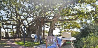 Artist Kari Ganoung Ruiz plein air painting during the Lighthouse Paint Out Competition at Jupiter Inlet Lighthouse Museum
