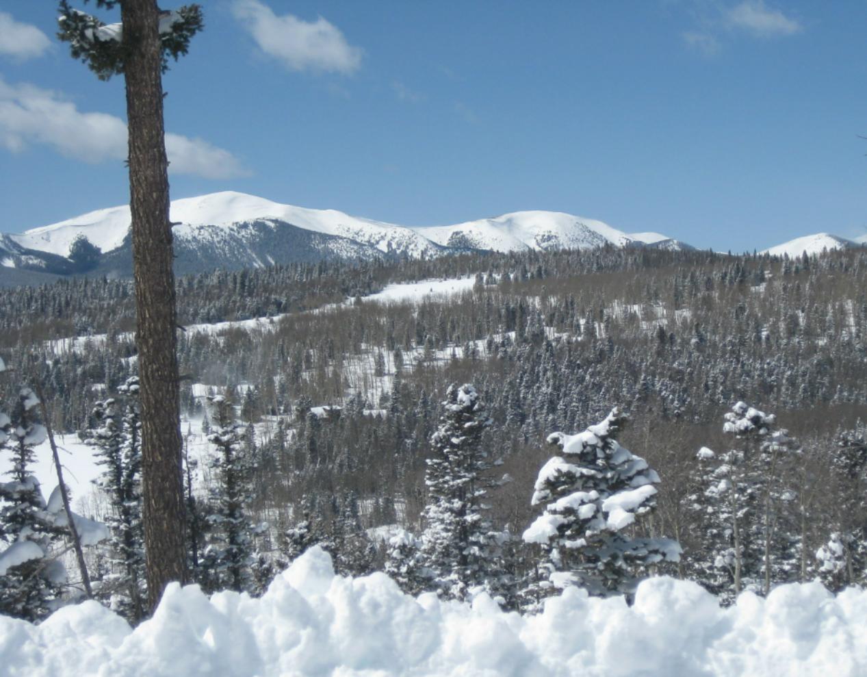 Look for mountain vista views while snowshoeing to your location