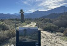 Ellen Howard's plein air setup for "Standing Tall"