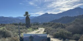 Ellen Howard's plein air setup for "Standing Tall"