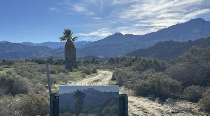 Ellen Howard's plein air setup for "Standing Tall"