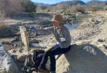Solana Beach, California plein air artist Toni Williams painting in Coyote Canyon in the Anza-Borrego Desert State Park - Borrego Springs Plein Air