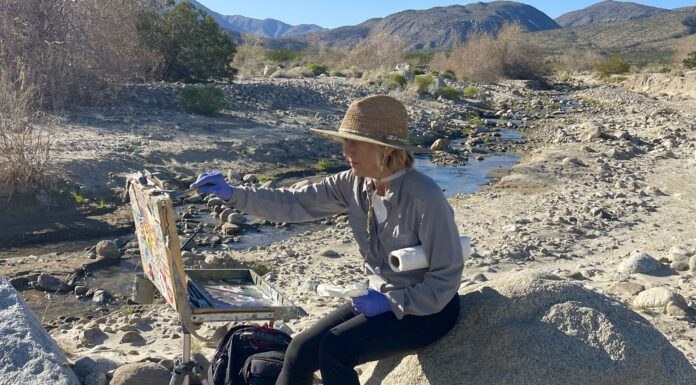 Happening Now: The Borrego Springs Plein Air Invitational Solana Beach, California plein air artist Toni Williams painting in Coyote Canyon in the Anza-Borrego Desert State Park - Borrego Springs Plein Air