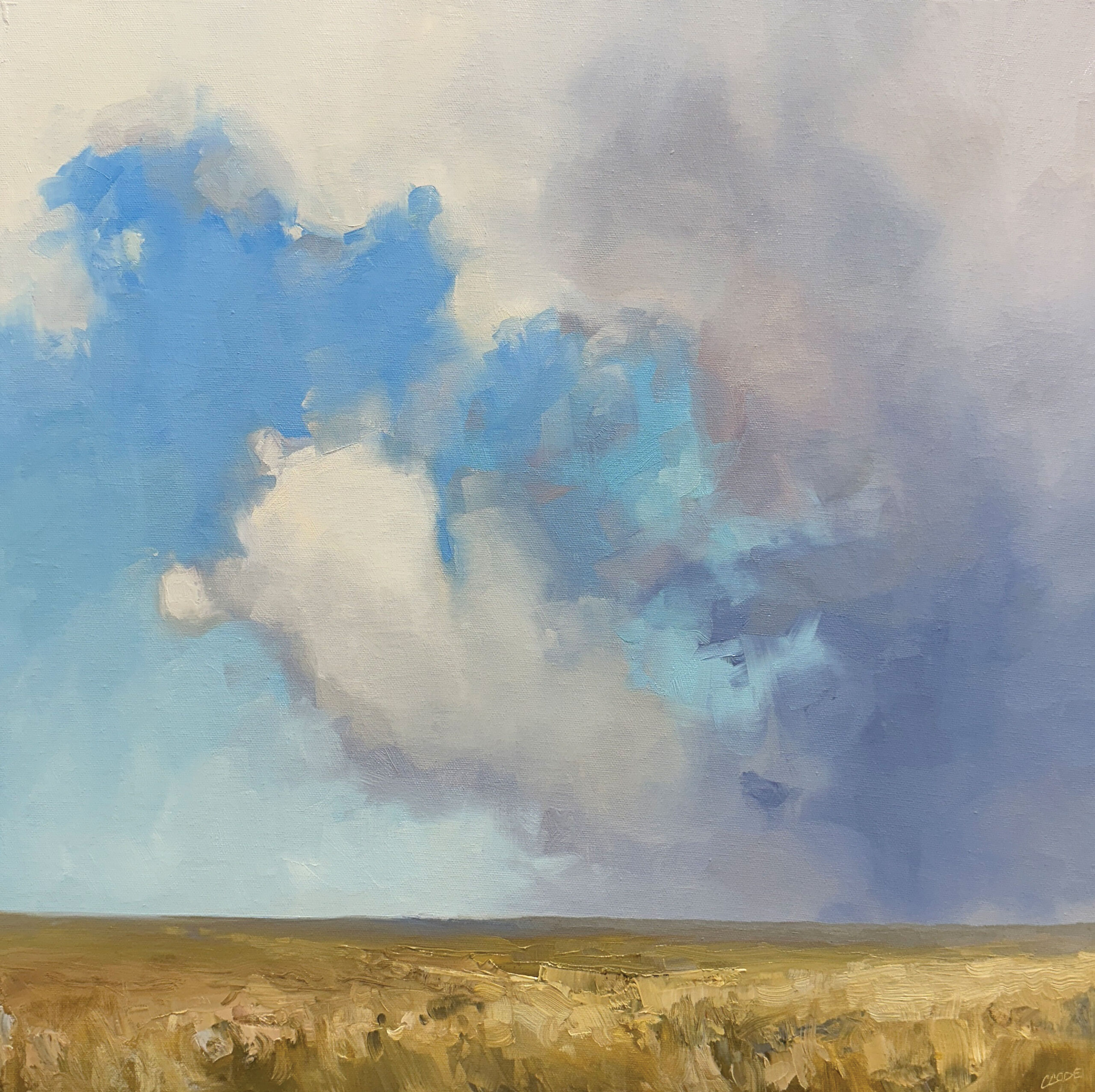 How to paint clouds - Christine Code, "In the Field," 2024, oil, 20 x 20 in., Available from Summer & Grace Gallery, Studio from plein air studies
