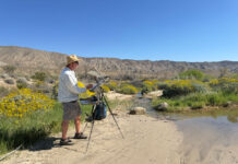 Geoffrey Allen painting in Coyote Canyon, Anza-Borrego Desert State Park