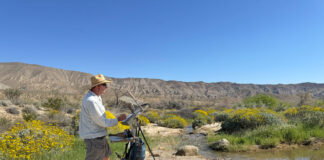 Geoffrey Allen painting in Coyote Canyon, Anza-Borrego Desert State Park