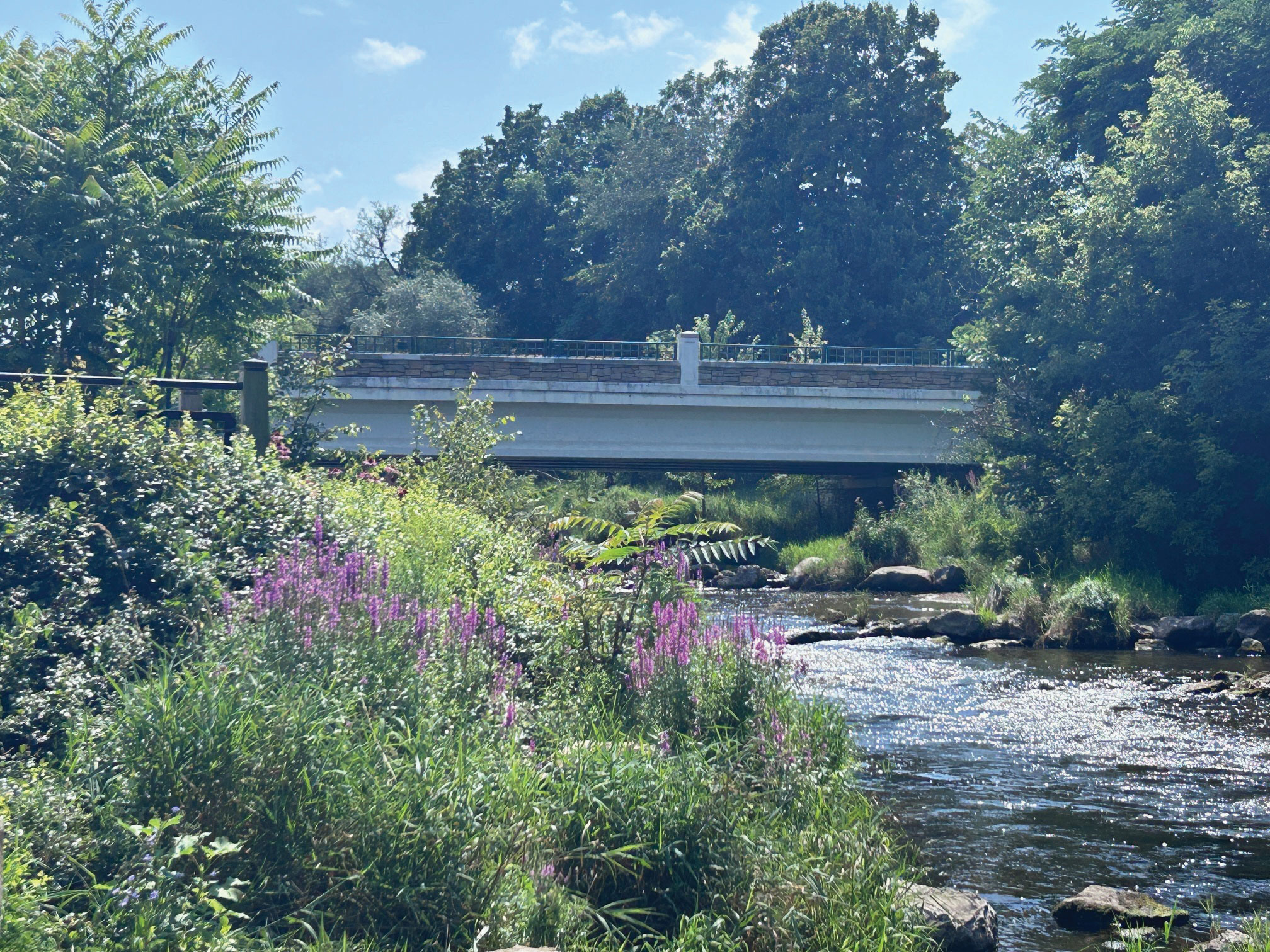 how to paint landscapes - photo reference