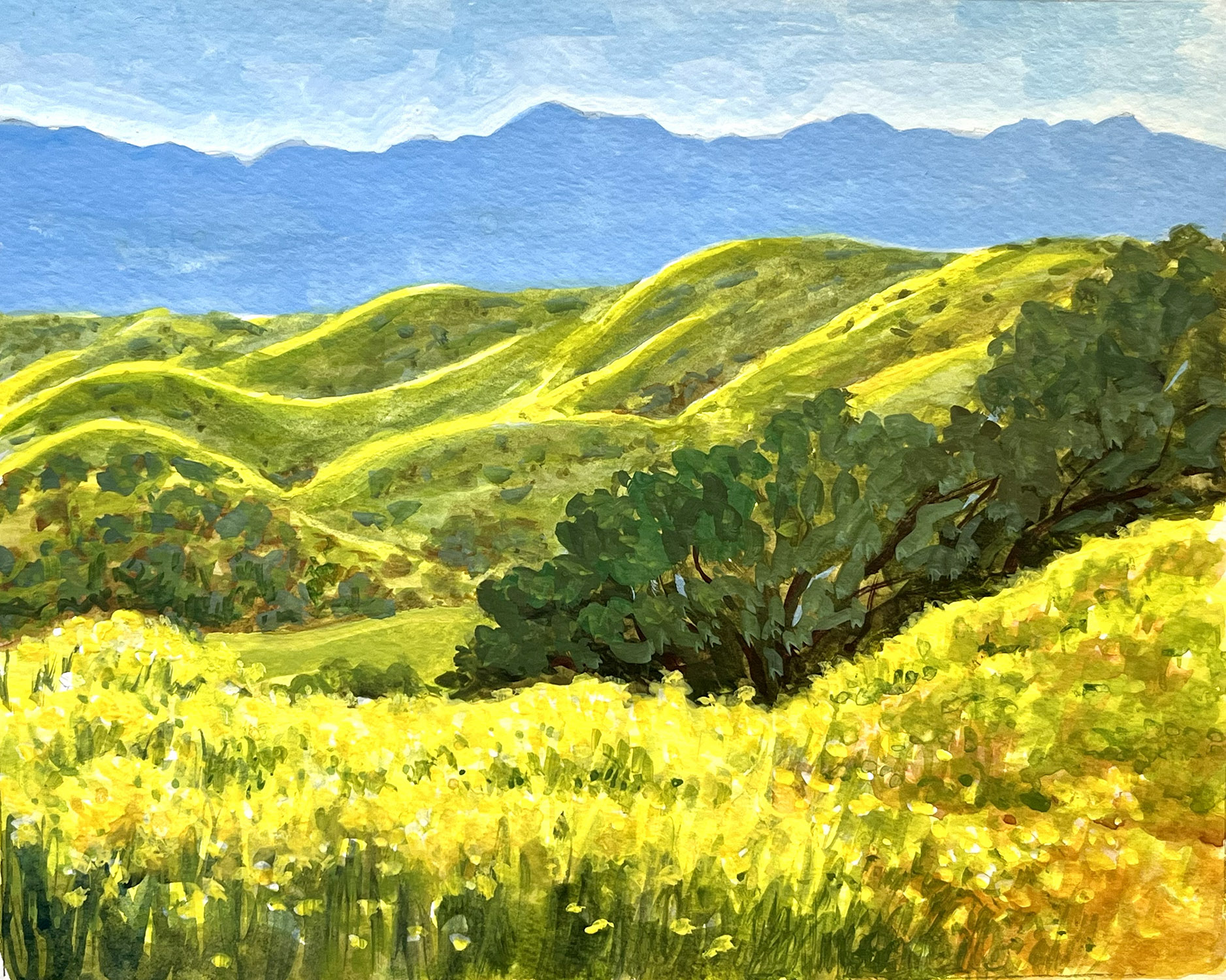 Dotty Hawthorne, "Hillside Daisies on the Carrizo," pastel, 8 x 10 in