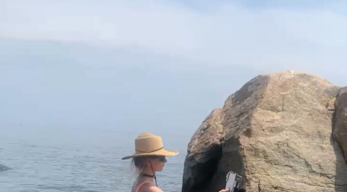 Plein air painter Mo Myra