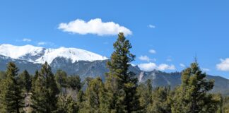Jacqui Gould painting en plein air - Pikes Peak Plein Air Painters
