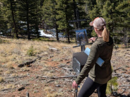Plein Air Painting Throughout Pikes Peak