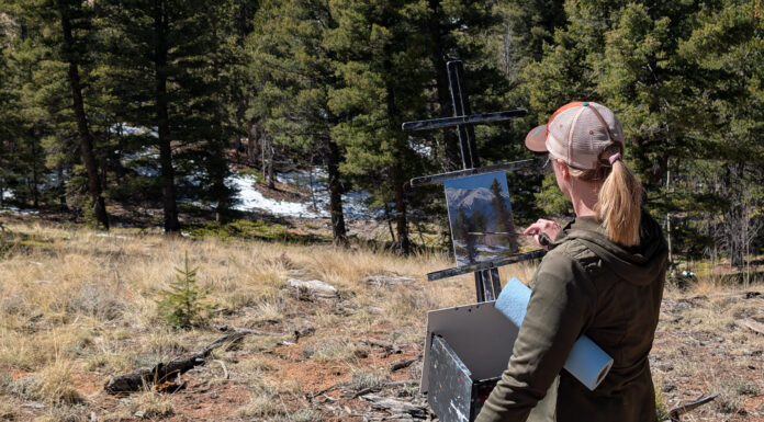 Plein Air Painting Throughout Pikes Peak