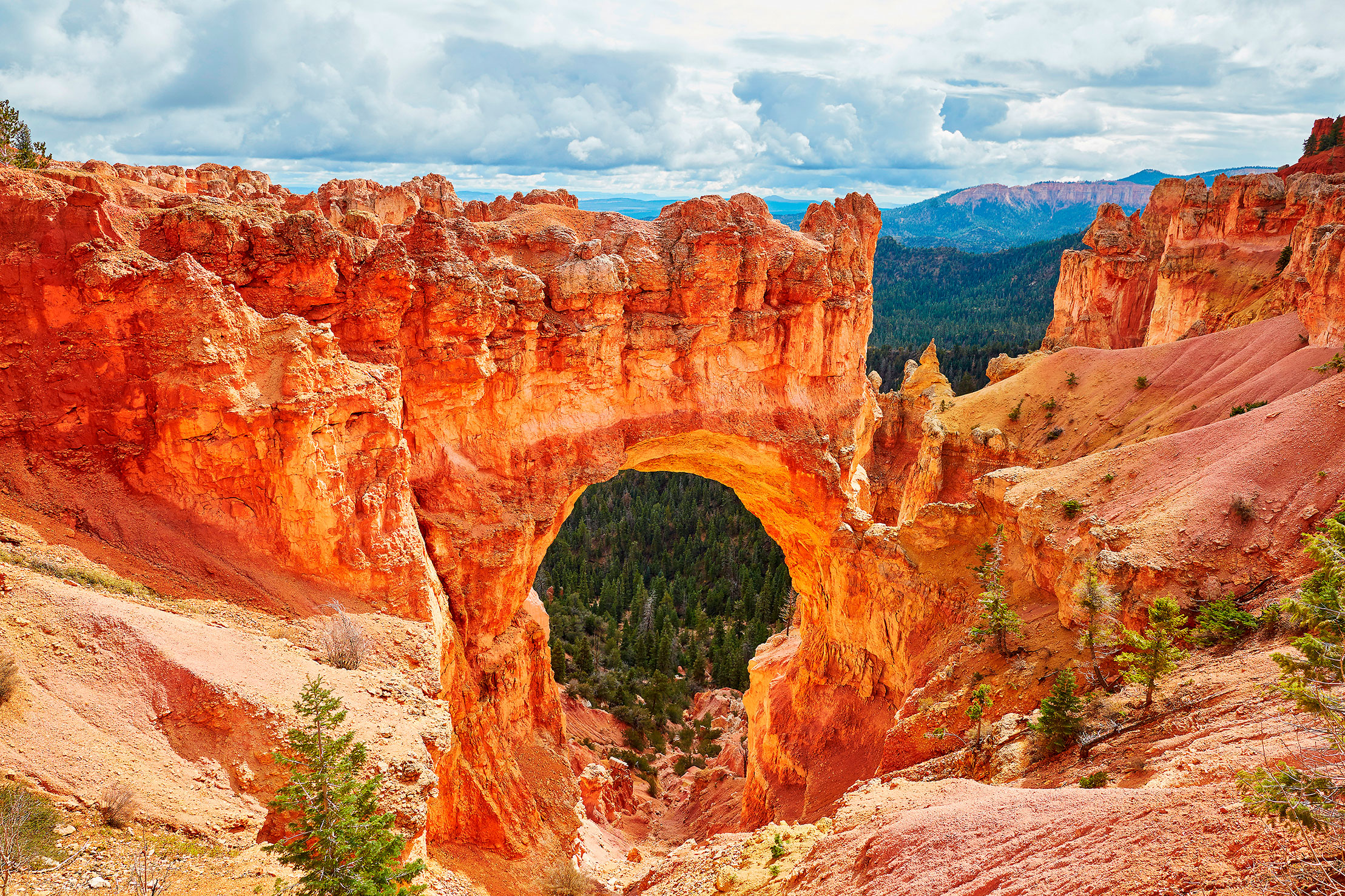 Plein Air Convention & Expo (PACE) - Zion & Bryce Canyon National Parks
