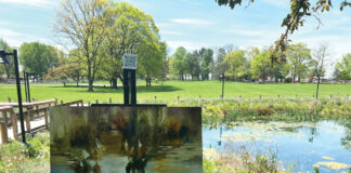 View of Scene: I set up at a wetlands pond in early spring, just as the water lilies sprouted new growth.