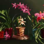The Salon Art Prize - First Place Overall: Jane Jones, “Mysteries at Risk,” oil, 47 x 72 in.