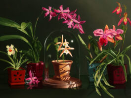 The Salon Art Prize - First Place Overall: Jane Jones, “Mysteries at Risk,” oil, 47 x 72 in.