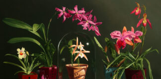 The Salon Art Prize - First Place Overall: Jane Jones, “Mysteries at Risk,” oil, 47 x 72 in.