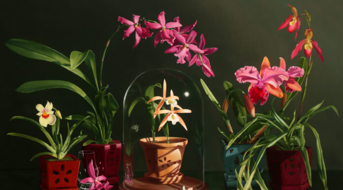 Announcement: The April Salon Art Prize Winners Are … The Salon Art Prize - First Place Overall: Jane Jones, “Mysteries at Risk,” oil, 47 x 72 in.