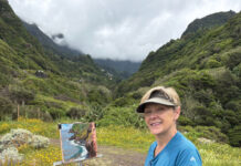 Plein air painter Allison Krajcik