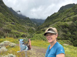Plein air painter Allison Krajcik
