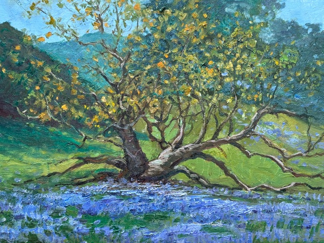 Alex Dzigurski, "Oak and Lupine, Monterey," oil, 20 x 24 in., private collection Prague, Czech Republic