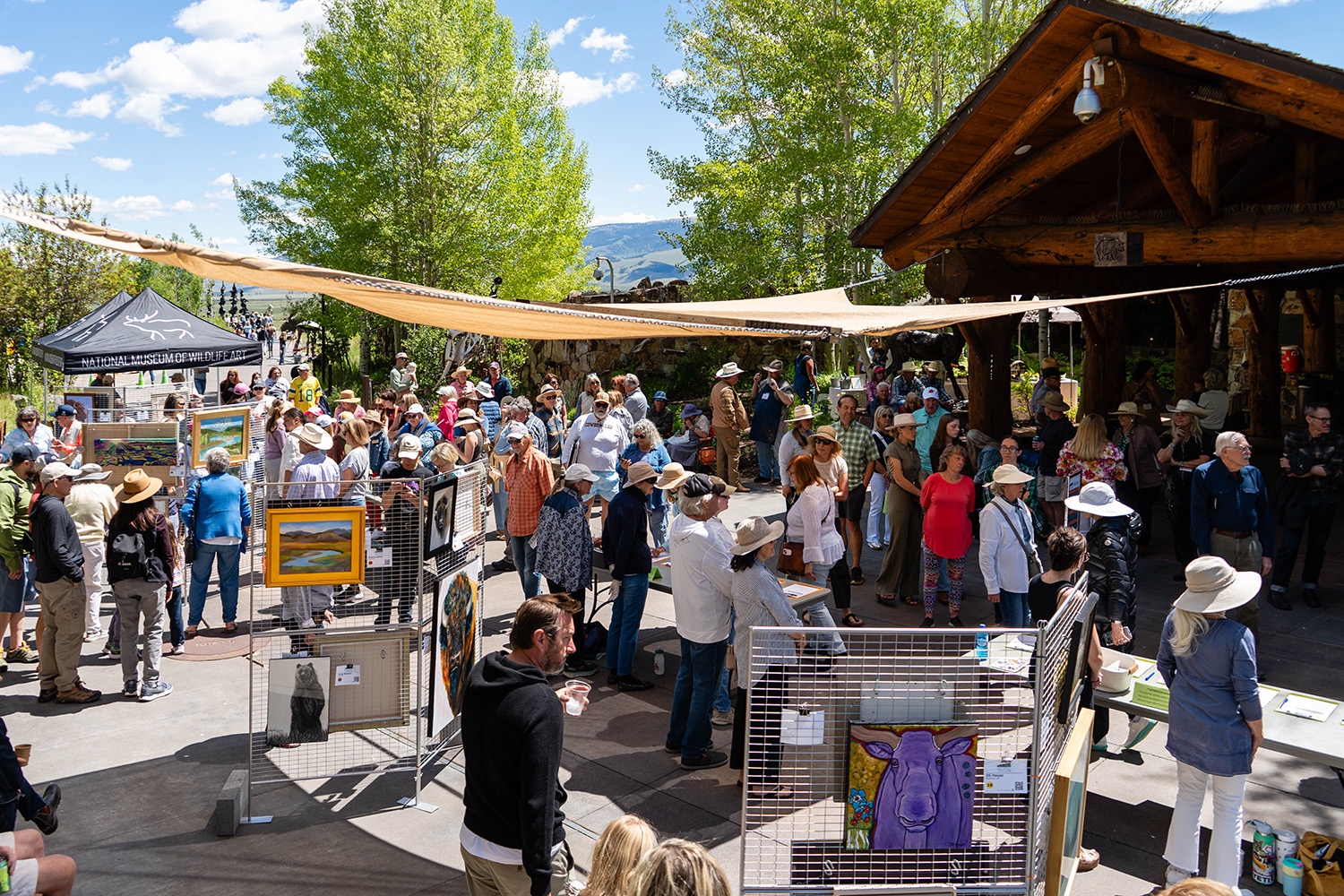 National Museum of Wildlife Art - Plein Air Fest