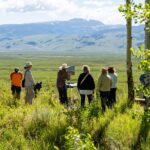 Plein Air Fest Winners in Wyoming National Museum of Wildlife Art - Plein Air Fest