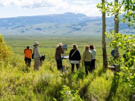 Plein Air Fest Winners in Wyoming National Museum of Wildlife Art - Plein Air Fest