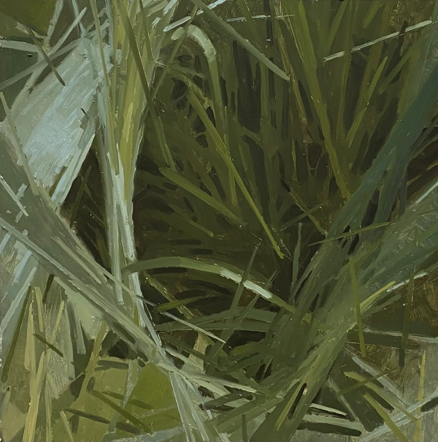Best Plein Air Landscape: Riley Doyle, "Grass-scape #8," oil, 18 x 18 in.