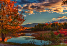 Treat Yourself This Fall Fall Color Week painting retreats