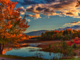 Treat Yourself This Fall Fall Color Week painting retreats