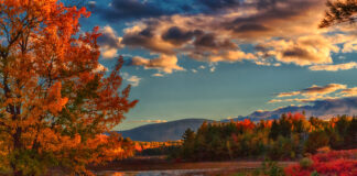 Fall Color Week painting retreats