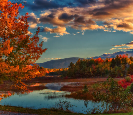 Treat Yourself This Fall Fall Color Week painting retreats
