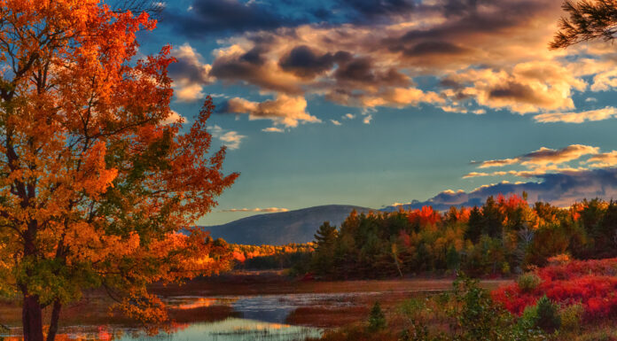 Treat Yourself This Fall Fall Color Week painting retreats