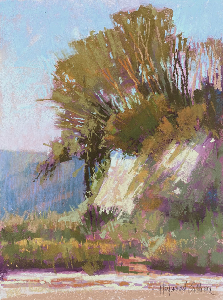 Liz Haywood-Sullivan, "Goleta Beach," pastel, 16 x 12 in.