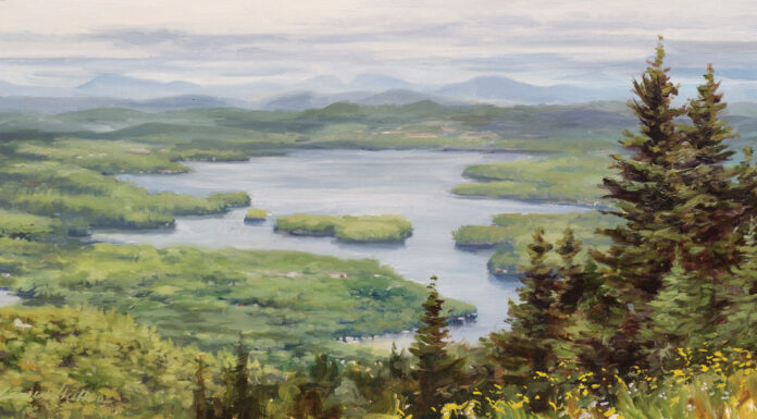 Accuracy Over Comfort Liane Whittum, "Sunapee Study #2," 2022, oil, 8 x 16 in., private collection, plein air painting