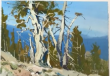 How to Paint Mountain Pine Trees with Allie Zeyer