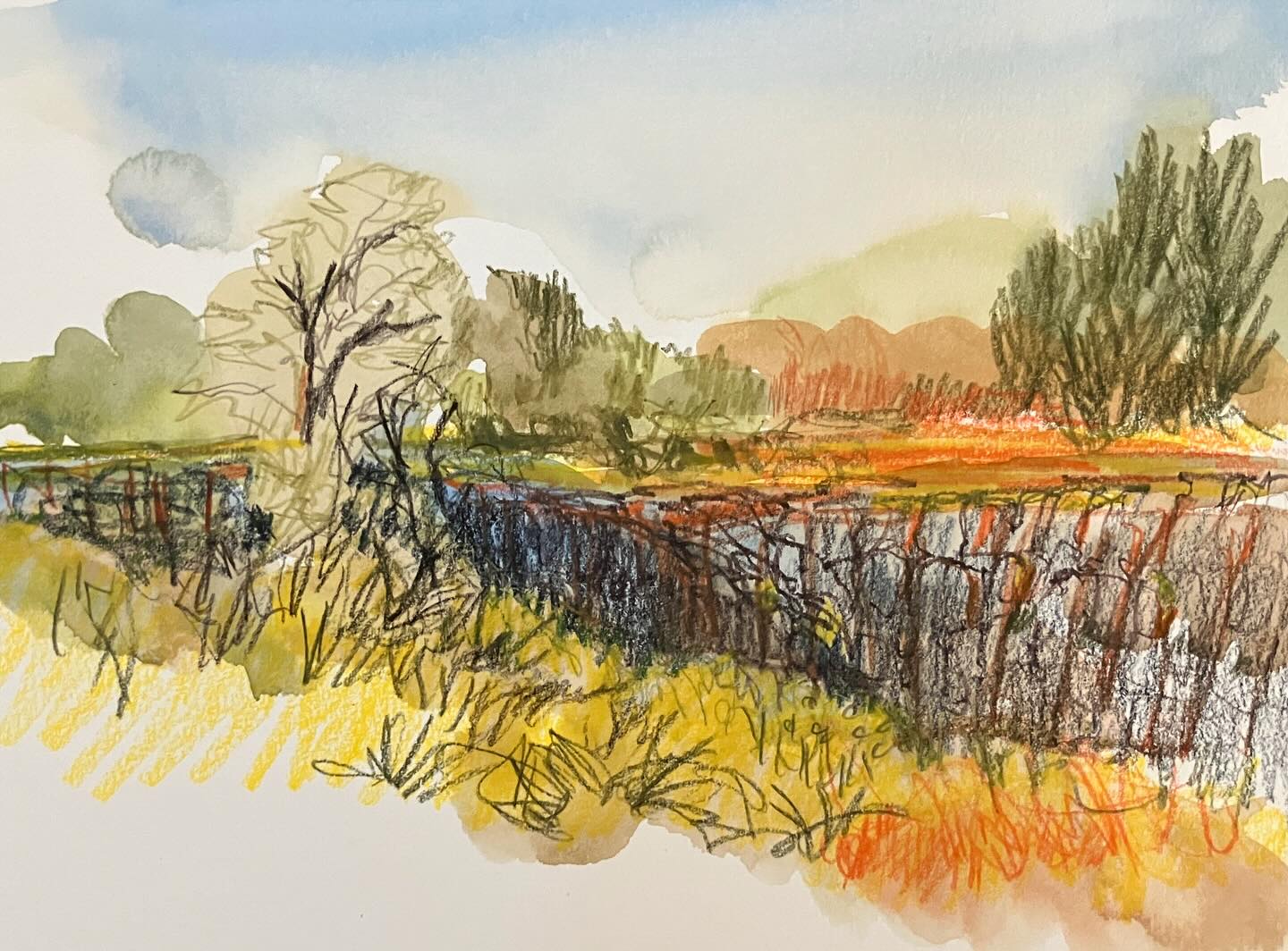 Colored pencil layered over splashes of watercolor to depict a canyon in Idaho