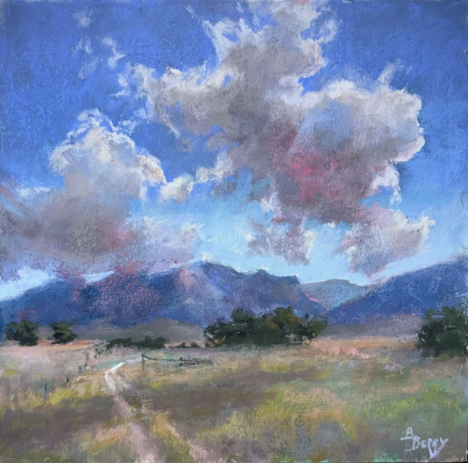 Best Plein Air Pastel: Barbara Berry, “Nomadic Nimbus,” 12 x 12 in.