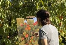 Plein Air Painting Tip: Plan By the Seasons Stephanie Birdsall plein air painting fruit trees