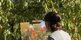 Stephanie Birdsall plein air painting fruit trees