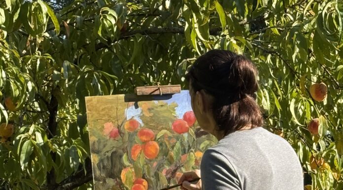 Plein Air Painting Tip: Plan By the Seasons Stephanie Birdsall plein air painting fruit trees