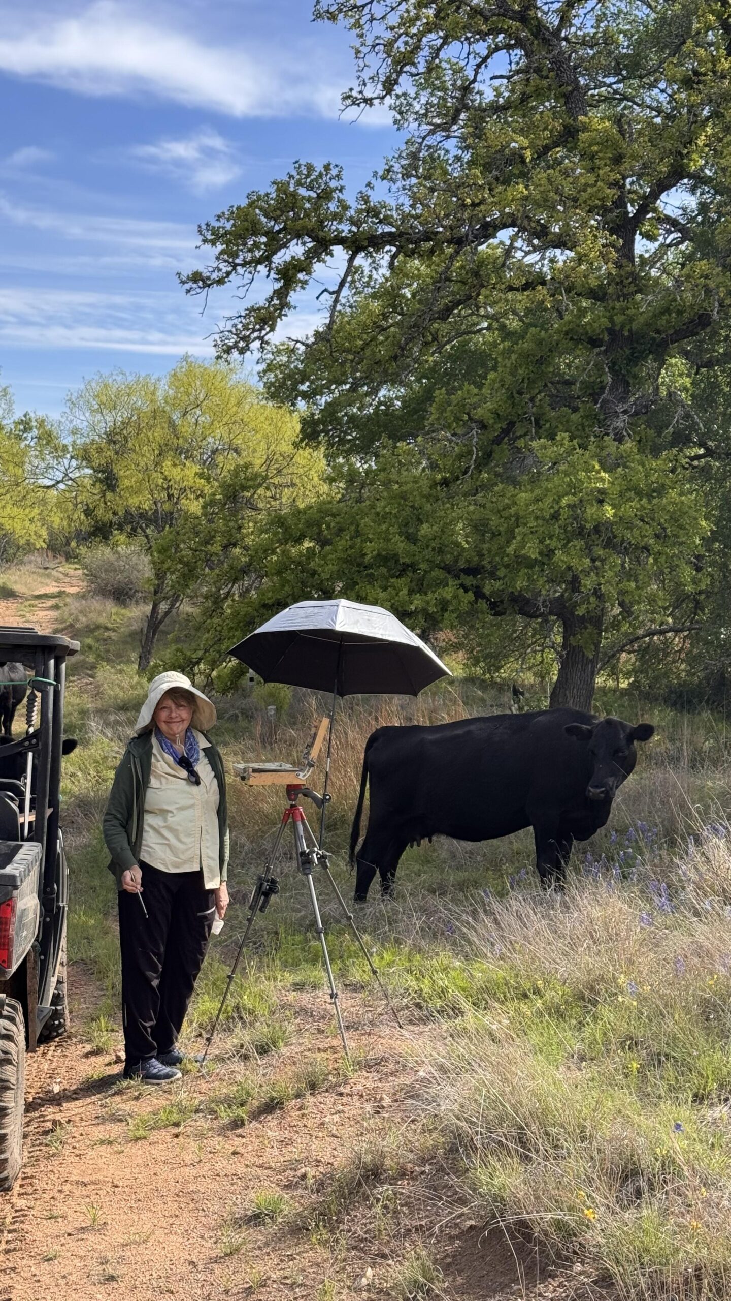 San Angelo Museum of Fine Arts artist Nancy Tankersley - San Angelo plein air painting
