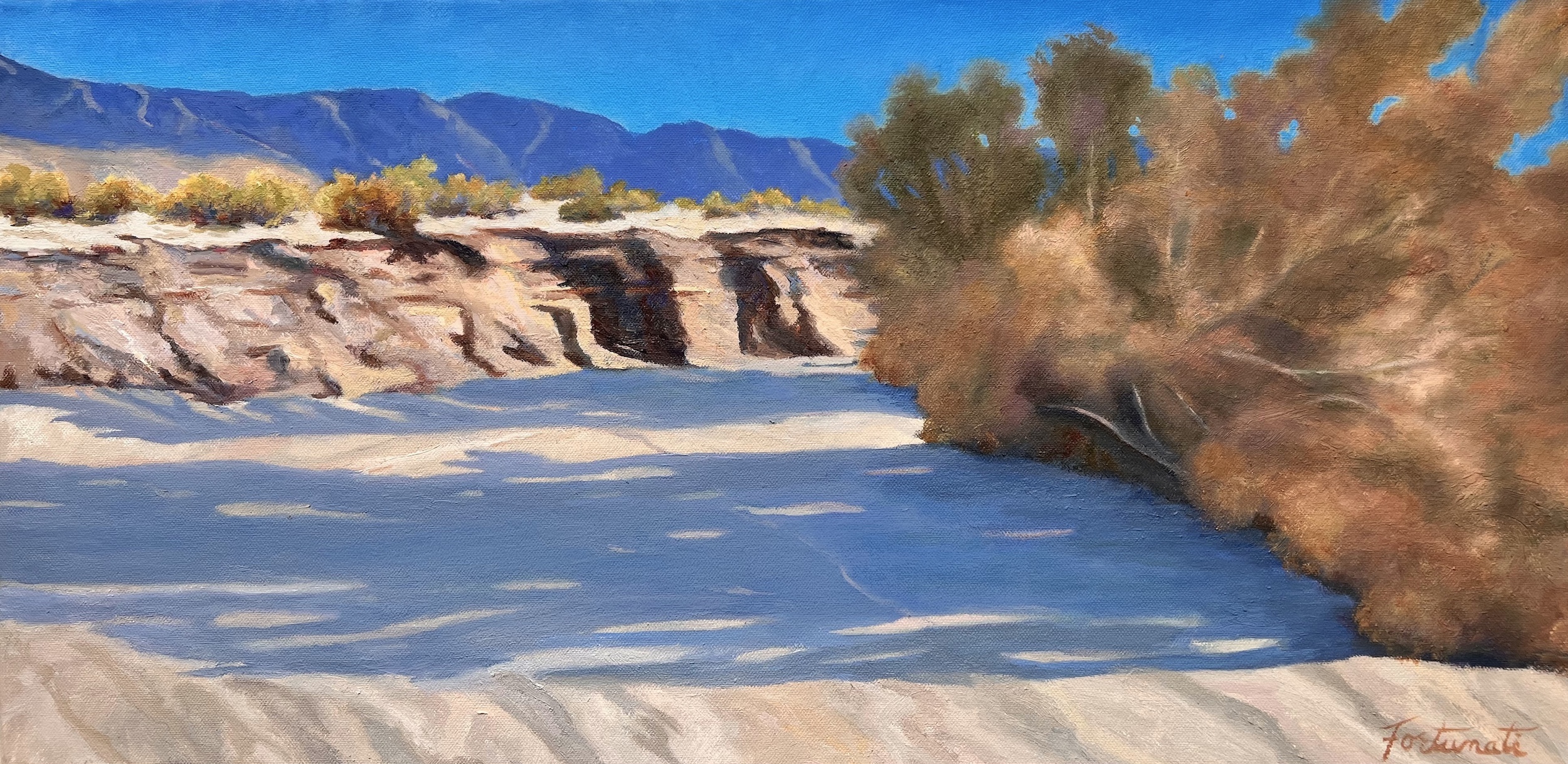"Smoke and Shadows in Pinyon Wash" by Marian Fortunati - Anza Borrego Desert